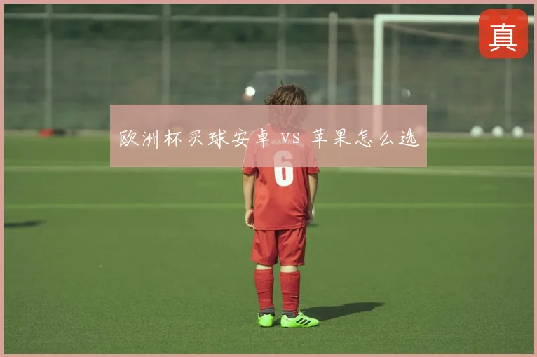 欧洲杯买球安卓 vs 苹果怎么选