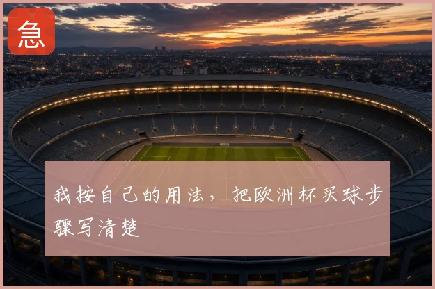 我按自己的用法，把欧洲杯买球步骤写清楚