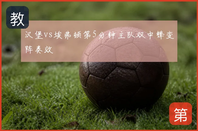 汉堡vs埃弗顿第5分钟主队双中锋变阵奏效