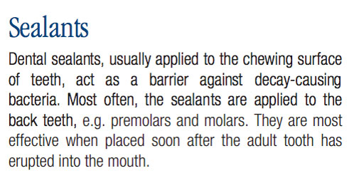 Common Dental Procedures, Replacing a Lost Tooth, Brampton Dentists, To Dentists in Brampton, Dental Facts, Dental Information,